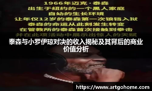 泰森与小罗伊琼对决的收入揭秘及其背后的商业价值分析